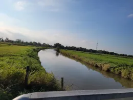 Stollhammer Sieltief