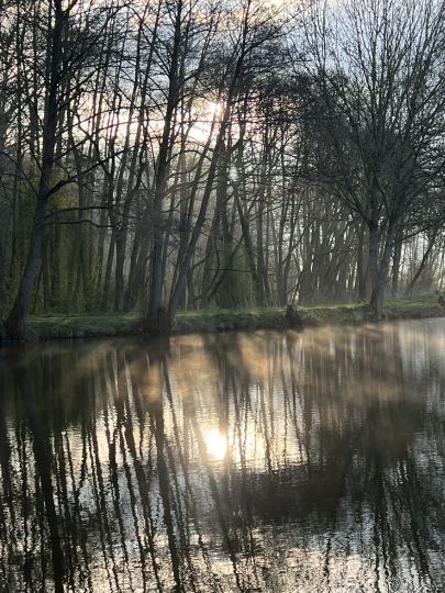 Teichanlage Oberurff - Schiffelborn-2