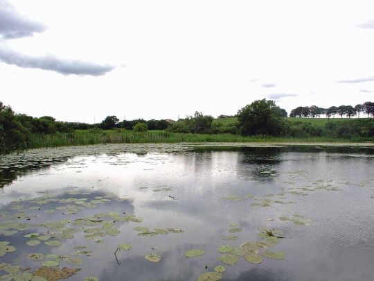 Frauentrog (Penzlin)