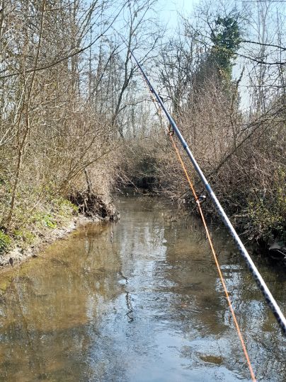 Wiesbach (Sprendlingen)