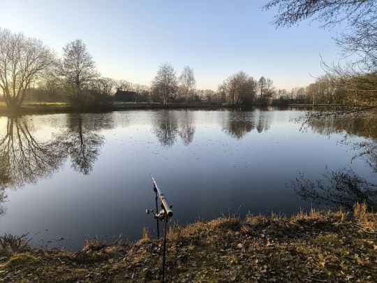 Teich Schrage-1