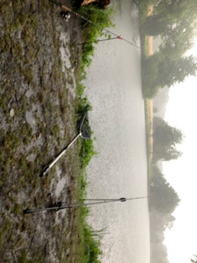 Teich Schrage-2