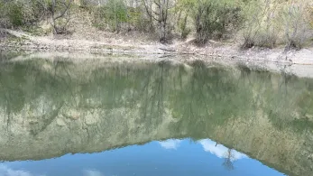 Kalkbruch (Sandersleben)