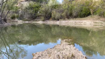 Kalkbruch (Sandersleben)-1