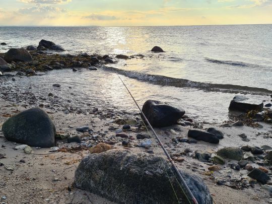 Årøsund (Ostsee)