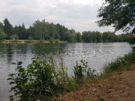 Sonnenhügelsee-2