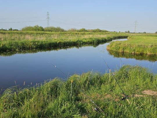 Bullenbruch (Horneburg)-2