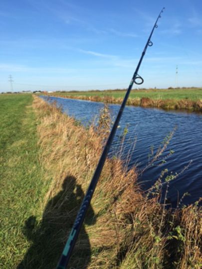 Bullenbruch (Horneburg)-1