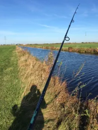 Bullenbruch (Horneburg)-1