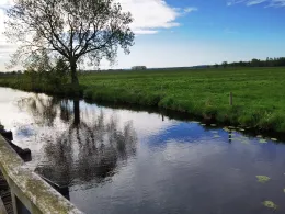 Bullenbruch (Horneburg)