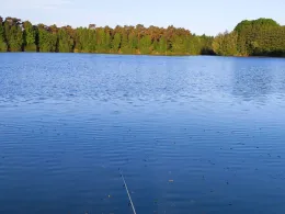 Westholtsee (Greffener Mark)-1