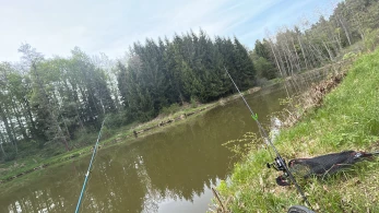 Berger Weiher (Metten)-1