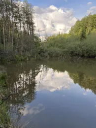 Berger Weiher (Metten)-3