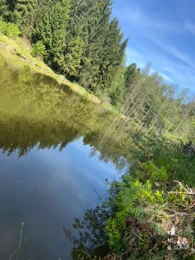 Berger Weiher (Metten)-2