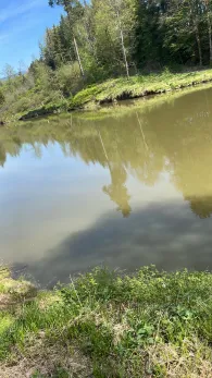 Berger Weiher (Metten)