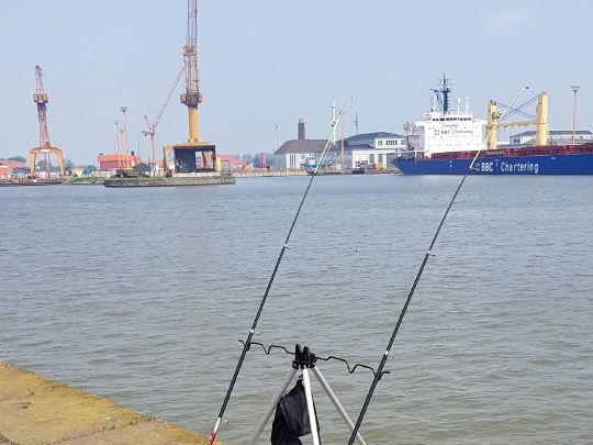 Alter Hafen (Bremerhaven) angeln