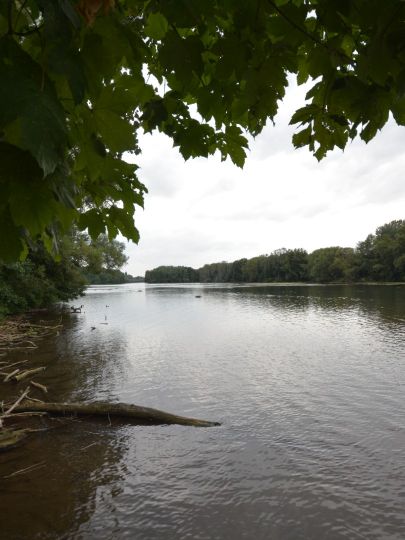 Oberer Wöhrder See (Nürnberg)-2