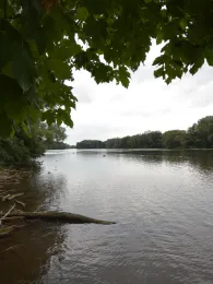 Oberer Wöhrder See (Nürnberg)-2
