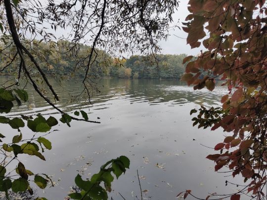 Oberer Wöhrder See (Nürnberg)-4