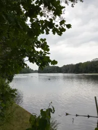 Oberer Wöhrder See (Nürnberg)-3