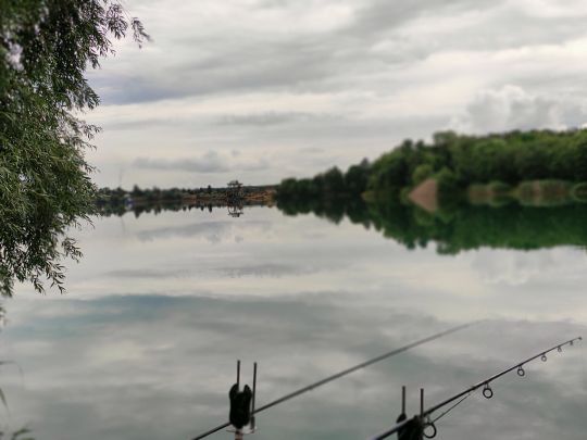 Haselsee (Babenhausen) angeln