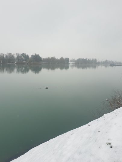 Haselsee (Babenhausen)-4