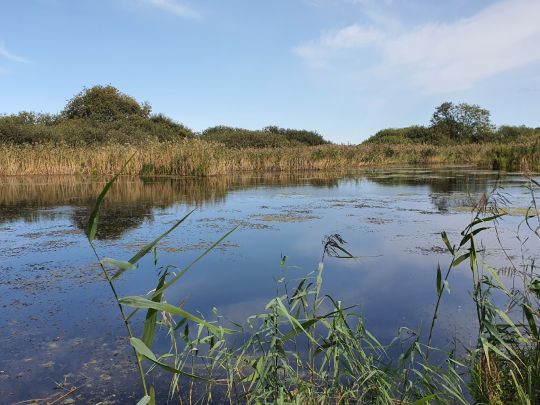 Steinkiste (Hanstorf)