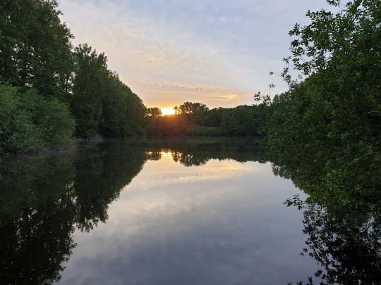 Salzweiher (Frechen)-4