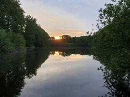 Salzweiher (Frechen)-4