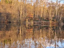 Salzweiher (Frechen)-1