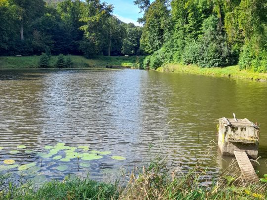 Bastteiche (Blankenburg) angeln