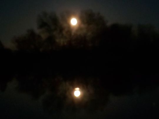 Tonkiete Schortewitz-2