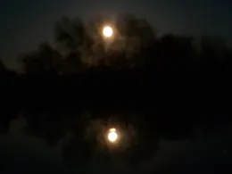 Tonkiete Schortewitz-2