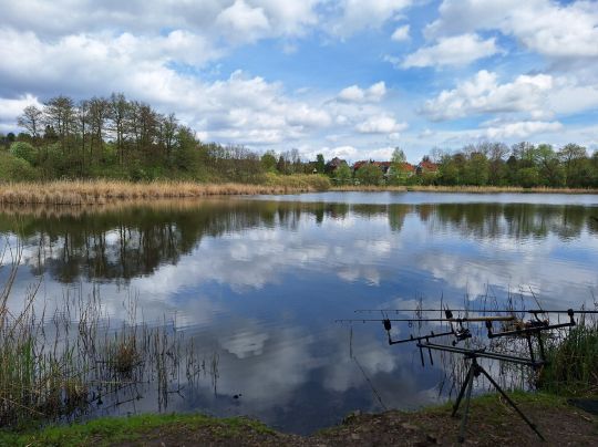Röseteich (Walkenried)-1