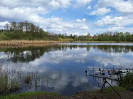Röseteich (Walkenried)-1