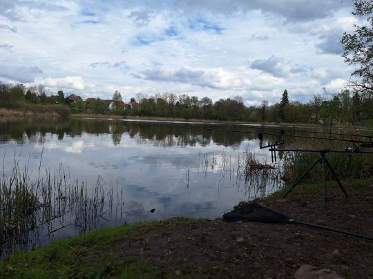 Röseteich (Walkenried)-2