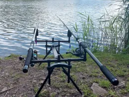 Röseteich (Walkenried)