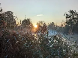 Inselsee (Kappel-Grafenhausen)