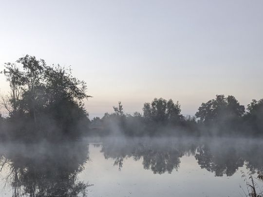 Inselsee (Kappel-Grafenhausen)-2