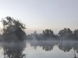 Inselsee (Kappel-Grafenhausen)-2