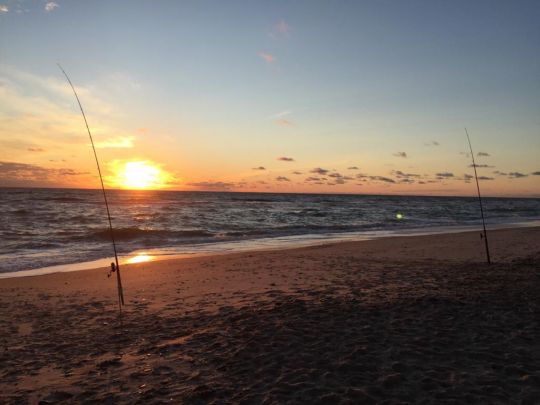 Nordsee (Sondervig) angeln