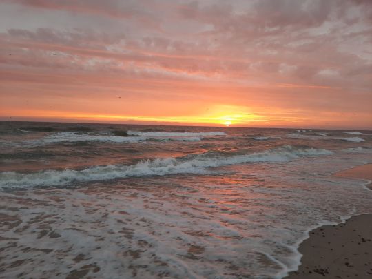 Nordsee (Sondervig)-3