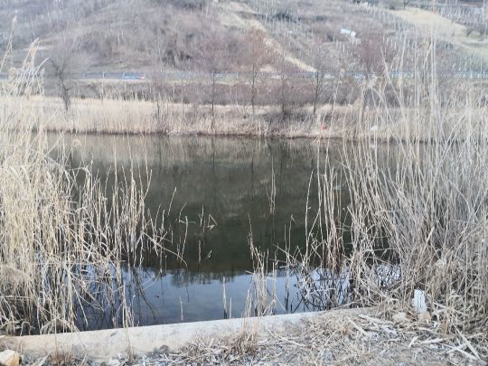 Lago di Caldonazzo-4