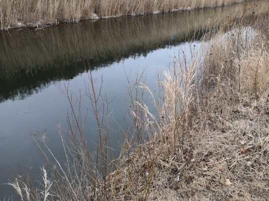 Lago di Caldonazzo-2