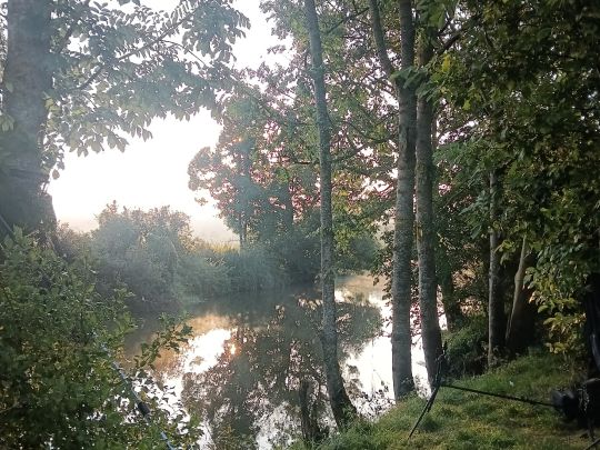 Wörnitz (Wörnitzstein)-1