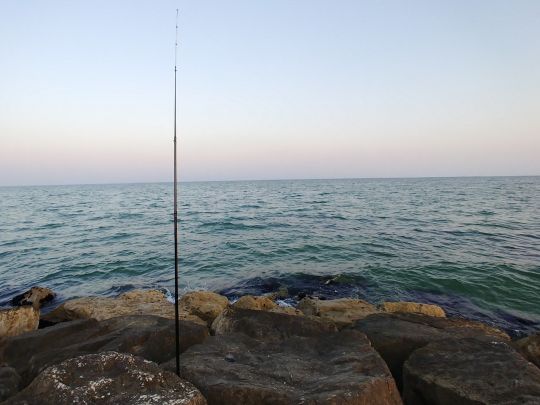 Adria (Lido di Jesolo / Cavallino)-1