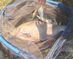 Bottloch (Frauenweiler See)