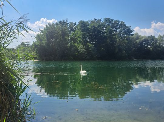 Kiessee Sporbitz-2
