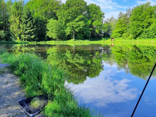 Angelteiche Trapphof (Stukenbrock)-3