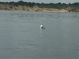 Westliche Ostsee (auf See)-2